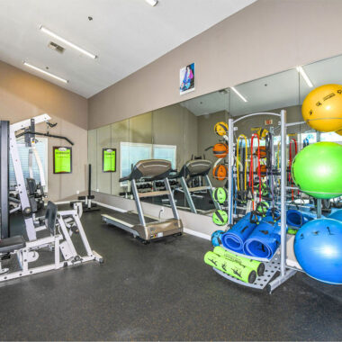 Fitness Center with Free Weights and Cardio